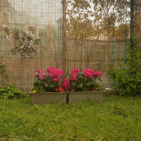 Burgo Flora 5 Appartement *